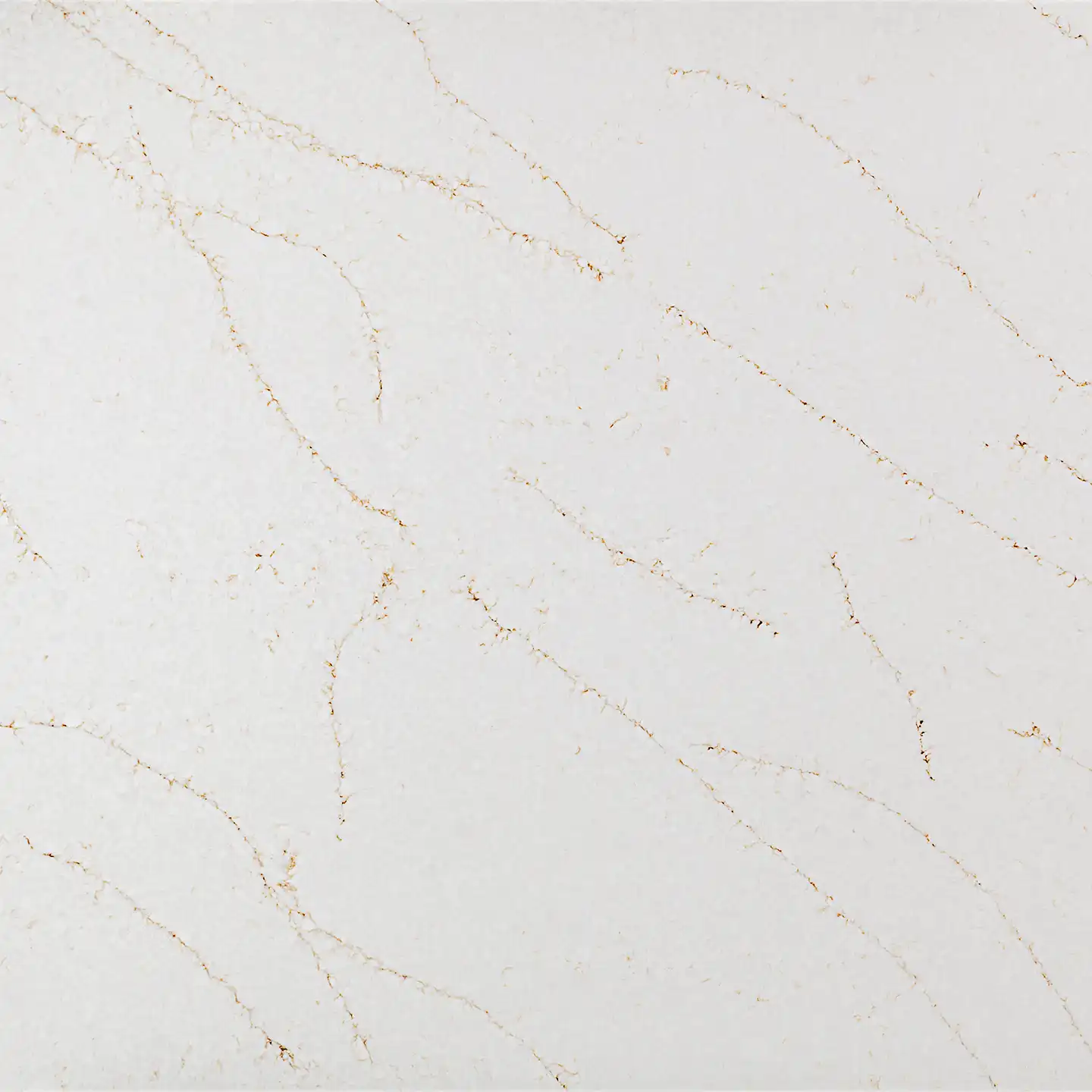 Calacatta Aurora Gold