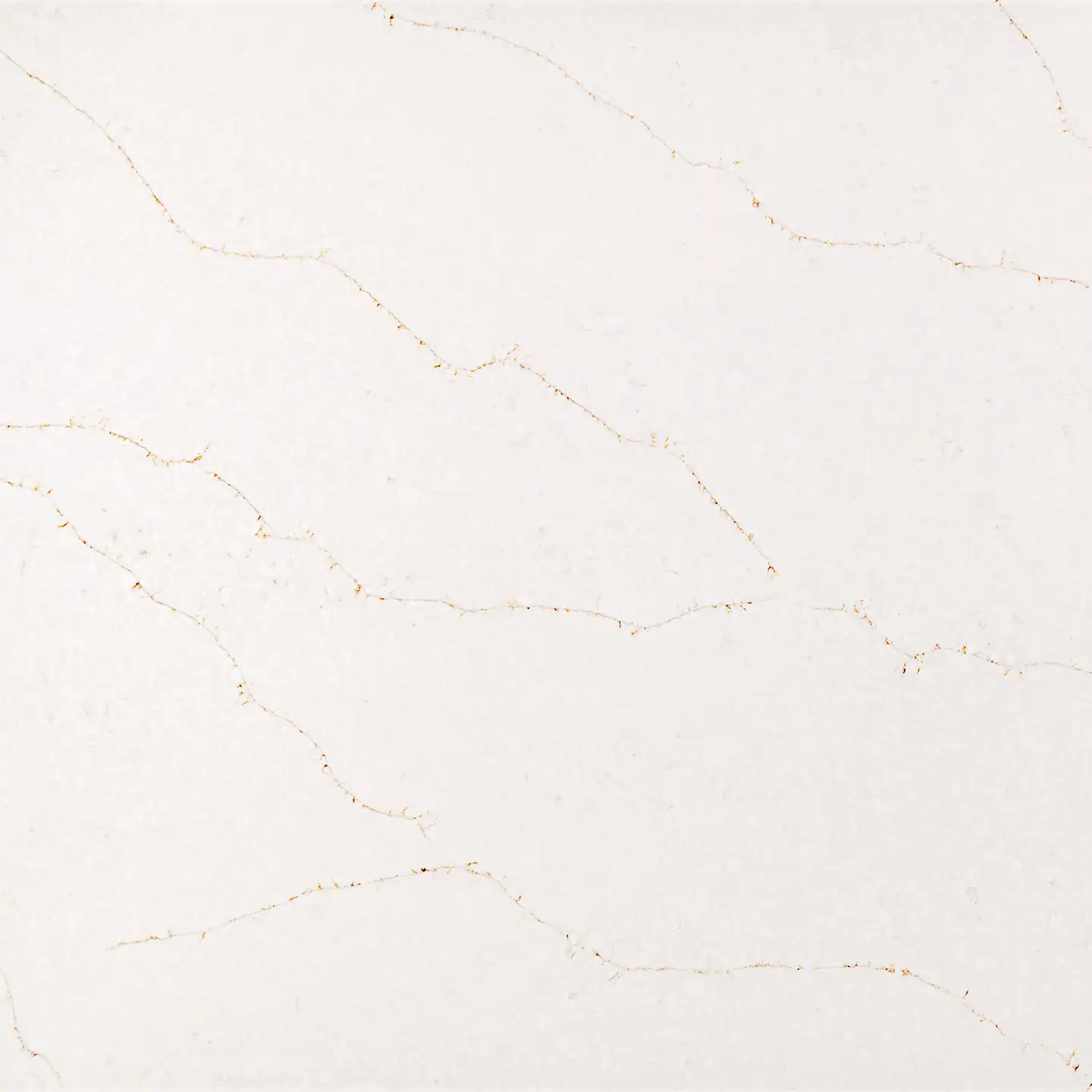 Calacatta Vivaldi Gold