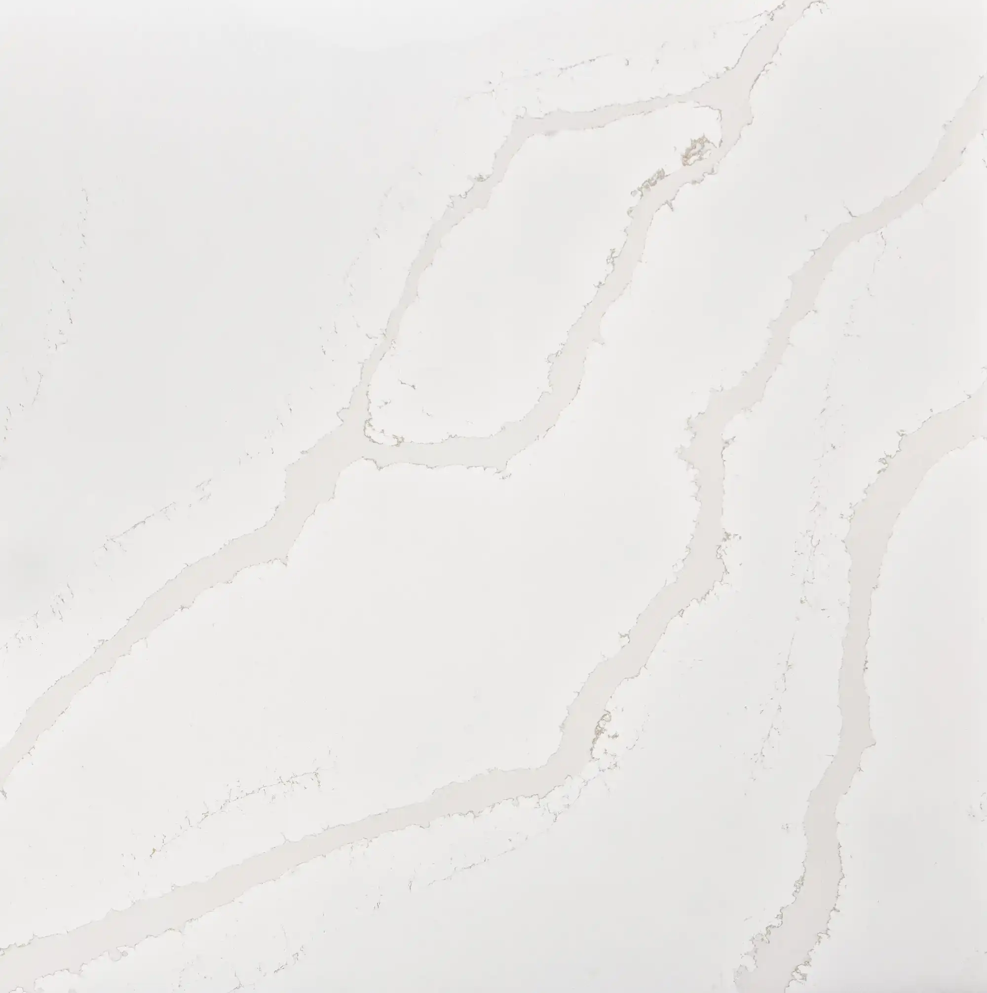 Calacatta Victory Gold